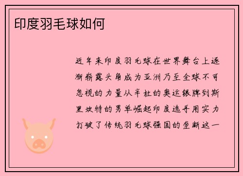 印度羽毛球如何