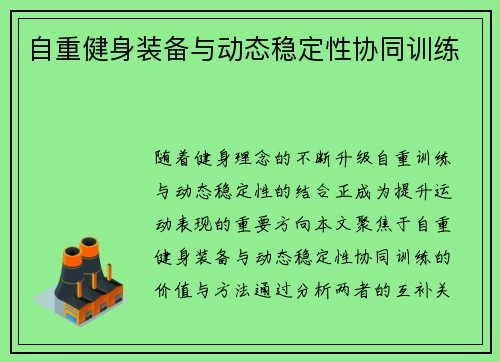 自重健身装备与动态稳定性协同训练